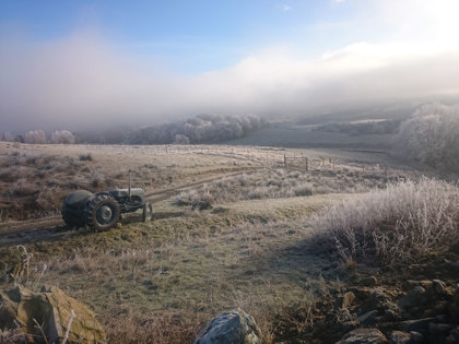 Early Morning Mist